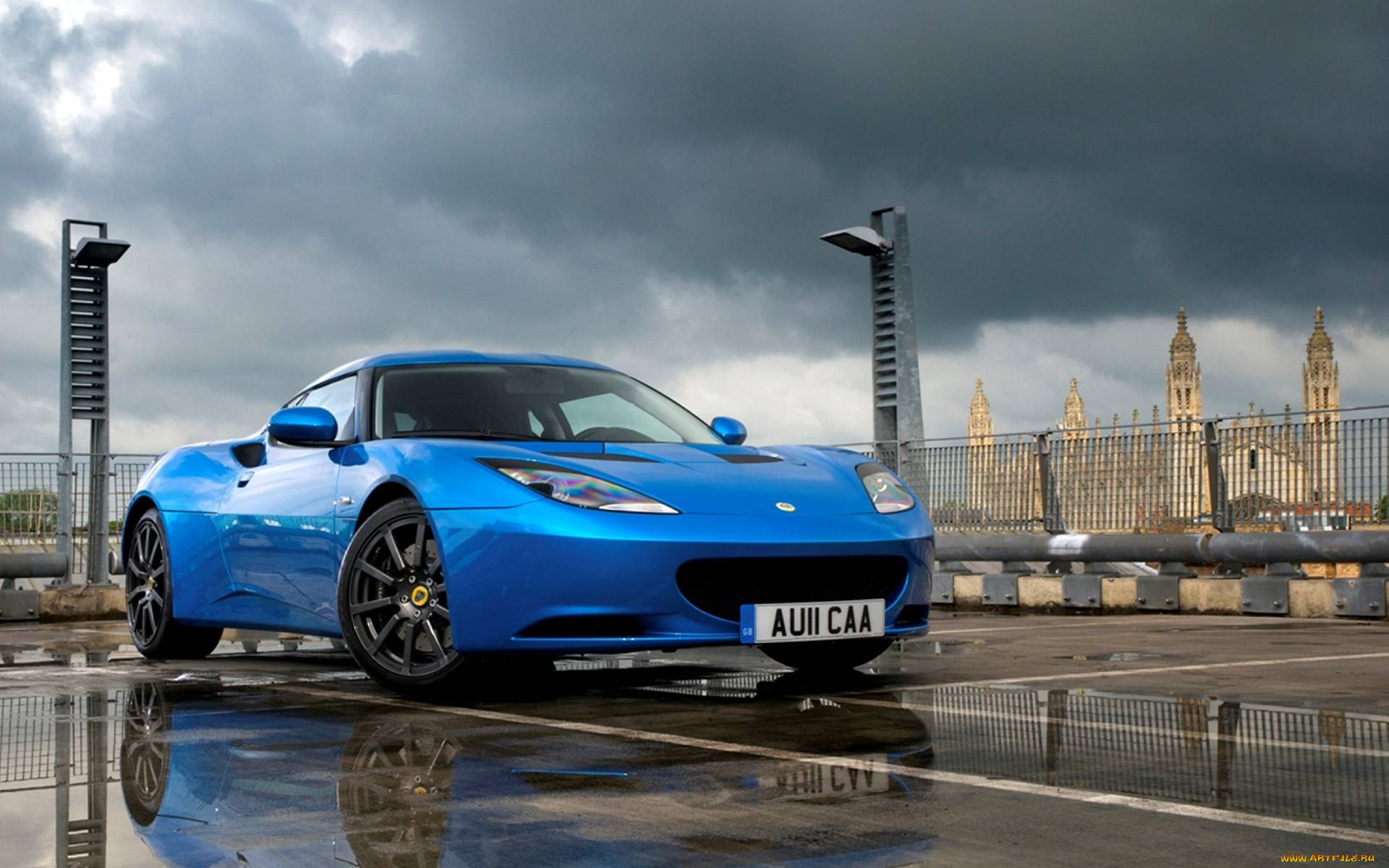 , lotus